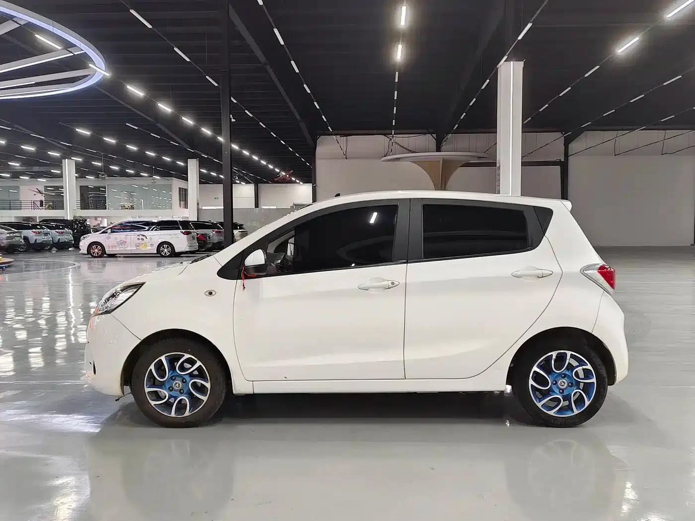 Benben EV 2018 EV260 Standard Edition — миниатюра 8