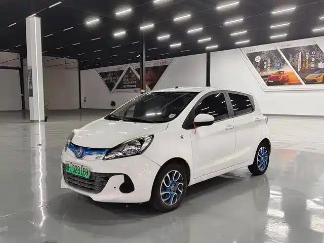 Benben EV 2018 EV260 Standard Edition
