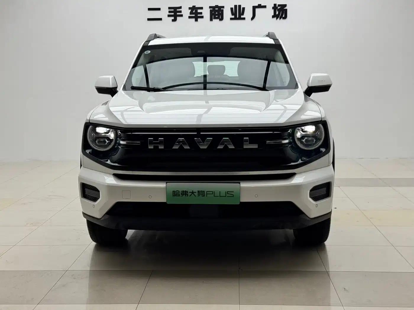 Haval Big Dog PLUS New Energy 2026 Hi4 150km Trendy Electric Edition — миниатюра 2
