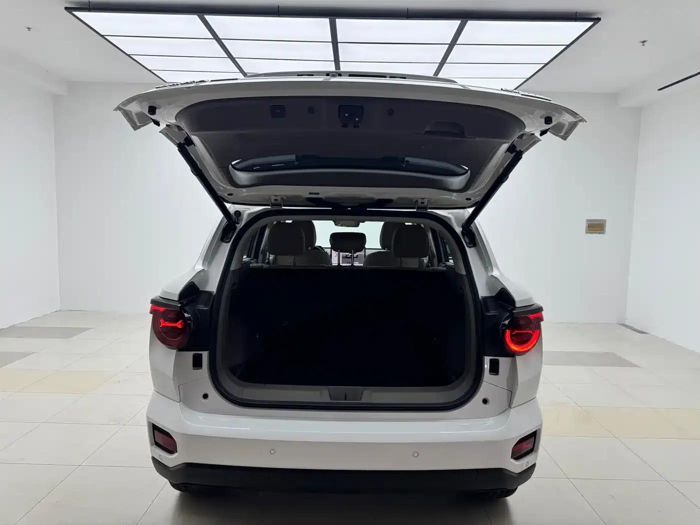 Haval Big Dog PLUS New Energy 2026 Hi4 150km Trendy Electric Edition — миниатюра 17