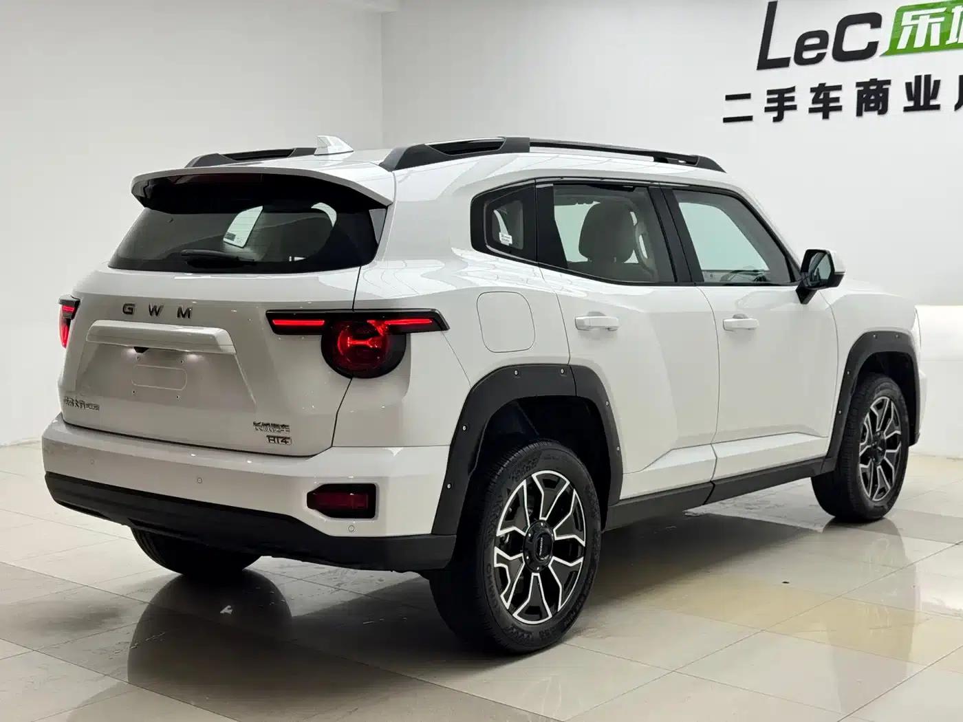 Haval Big Dog PLUS New Energy 2026 Hi4 150km Trendy Electric Edition — миниатюра 20