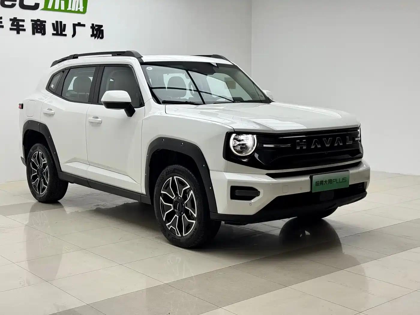 Haval Big Dog PLUS New Energy 2026 Hi4 150km Trendy Electric Edition — миниатюра 3