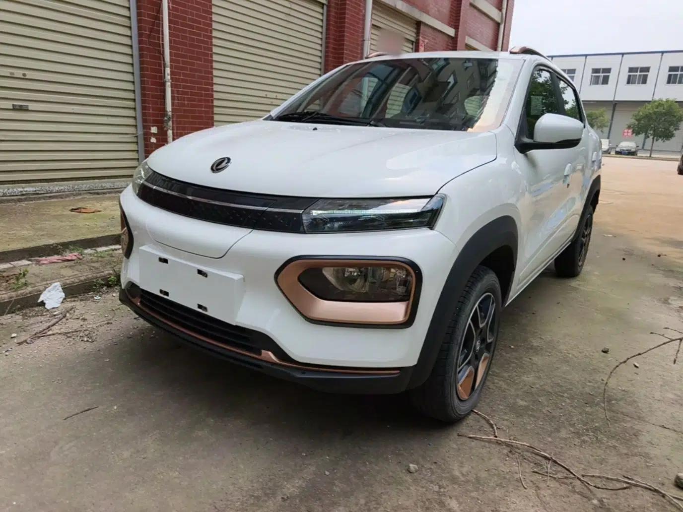 Dongfeng NAMMI BOX 2022 Revised Light Wind Edition 201 km Standard Version — миниатюра 1
