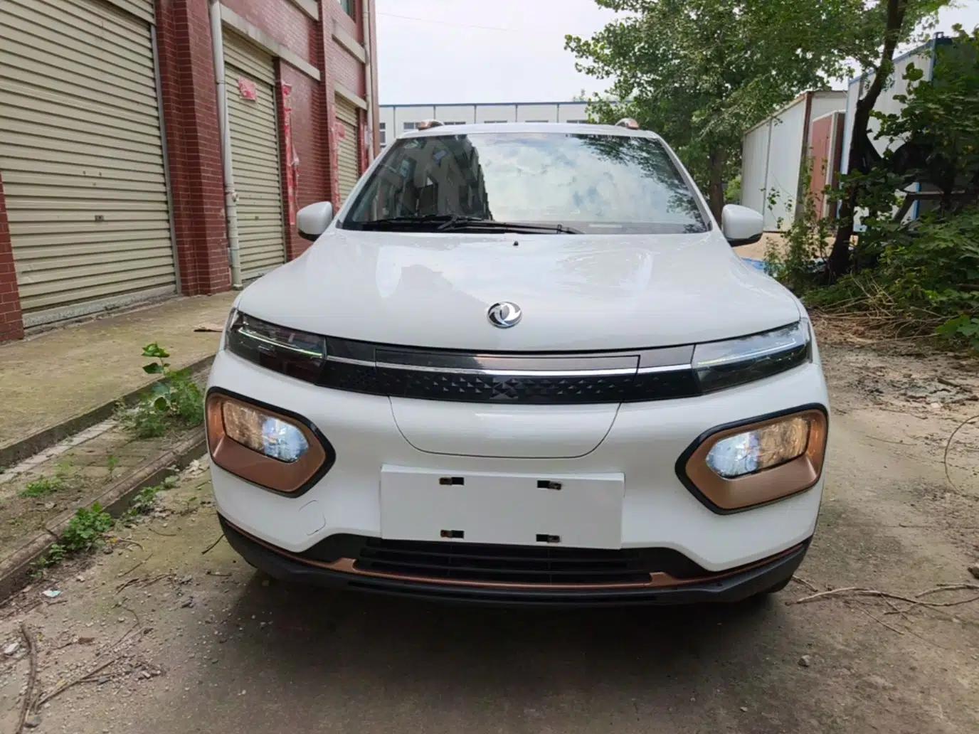 Dongfeng NAMMI BOX 2022 Revised Light Wind Edition 201 km Standard Version — миниатюра 2