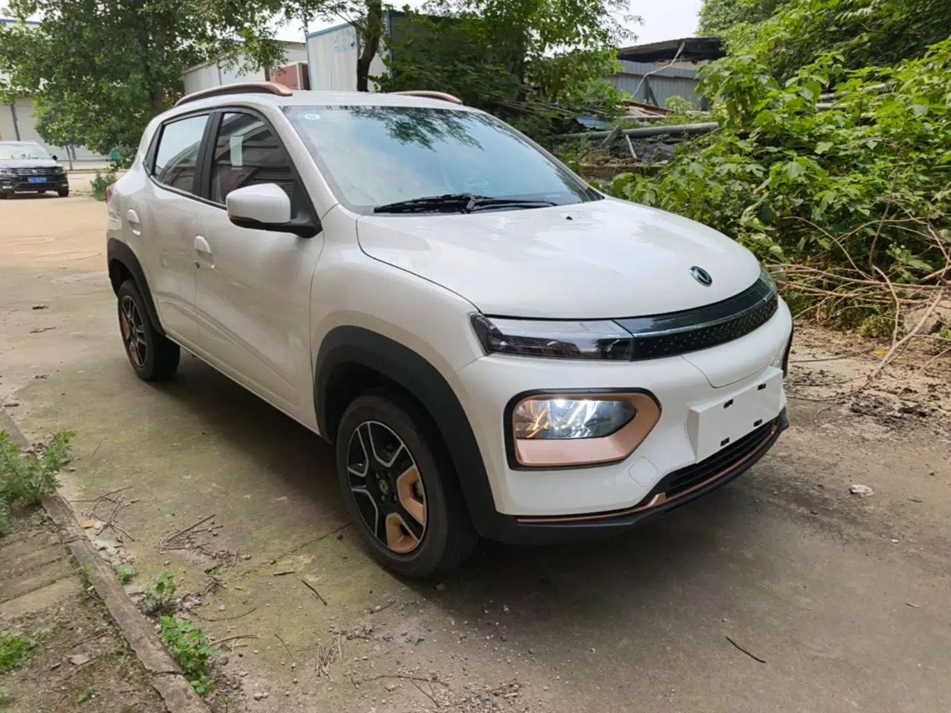 Dongfeng NAMMI BOX 2022 Revised Light Wind Edition 201 km Standard Version — миниатюра 3