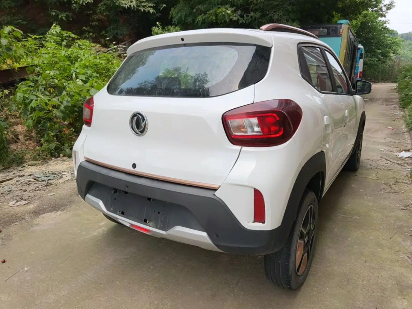 Dongfeng NAMMI BOX 2022 Revised Light Wind Edition 201 km Standard Version — миниатюра 6