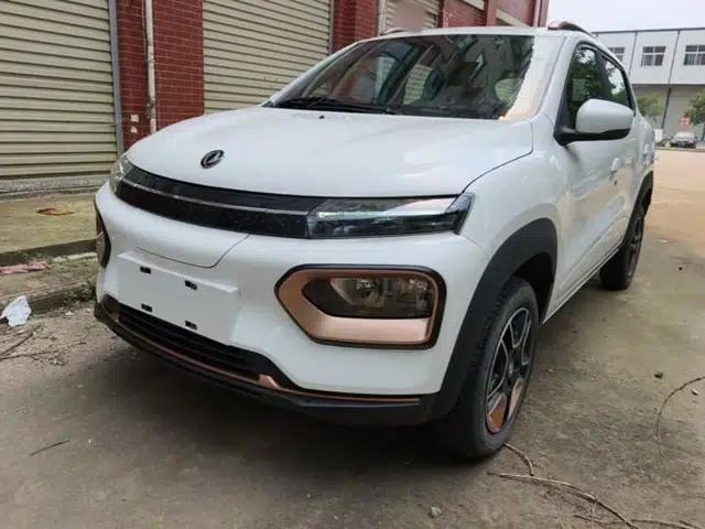 Dongfeng NAMMI BOX 2022 Revised Light Wind Edition 201 km Standard Version