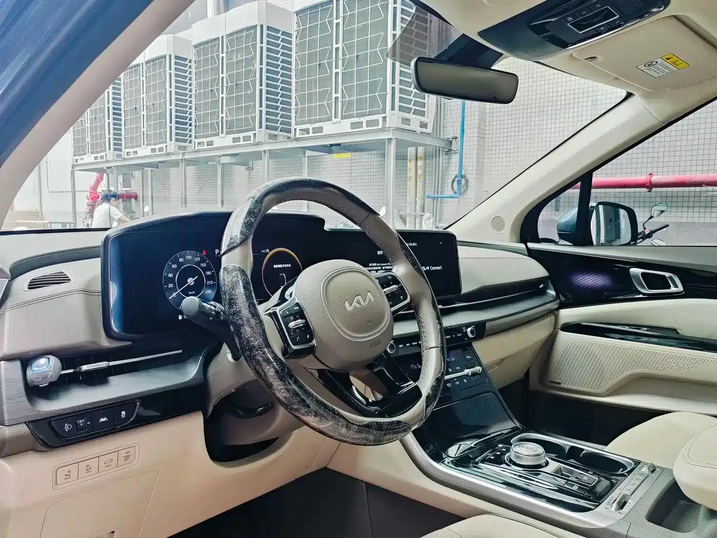 Carnival 2021 2.0T Flagship Edition — миниатюра 11