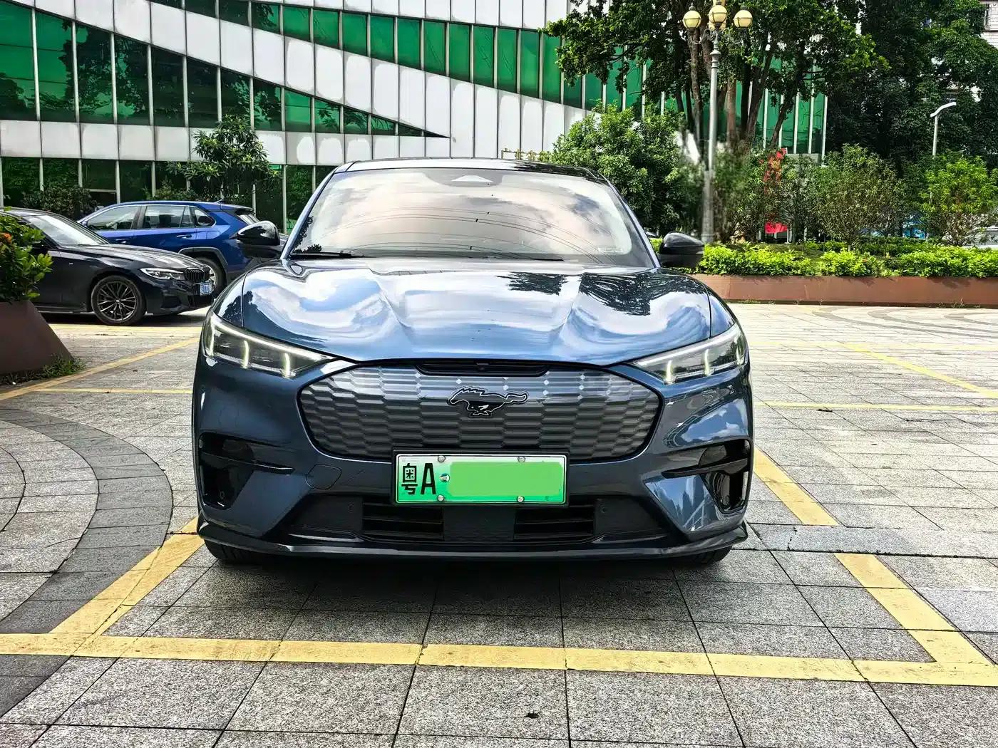 Ford e31 2021 Model X Unlimited Rear-Wheel Drive Luxury Edition Long Range — миниатюра 2
