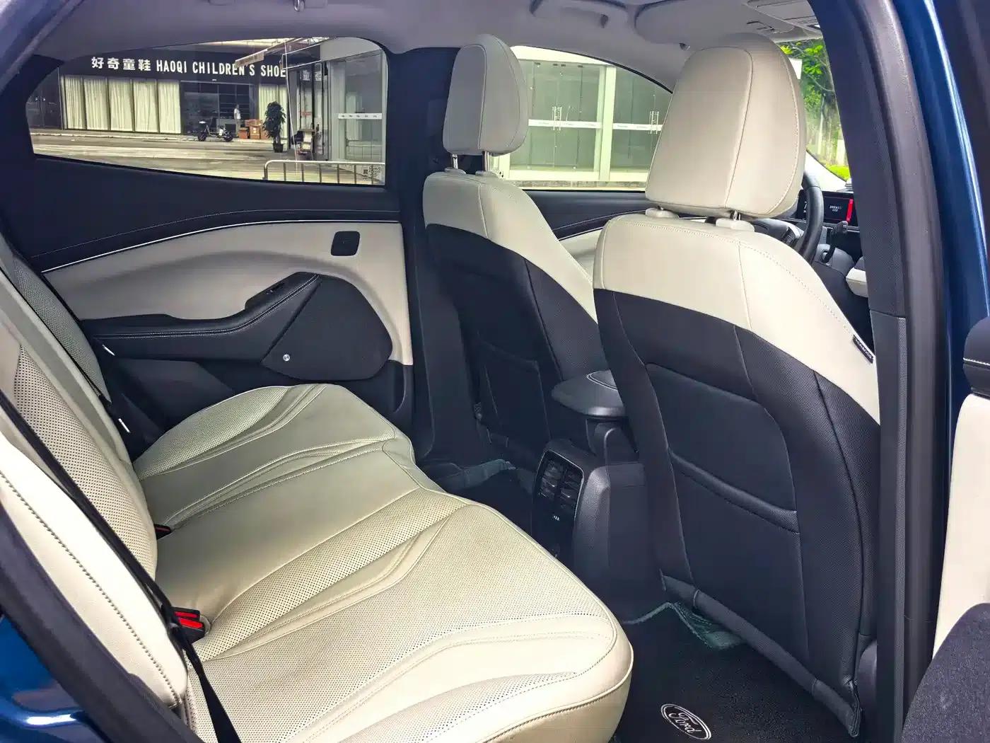 Ford e31 2021 Model X Unlimited Rear-Wheel Drive Luxury Edition Long Range — миниатюра 11