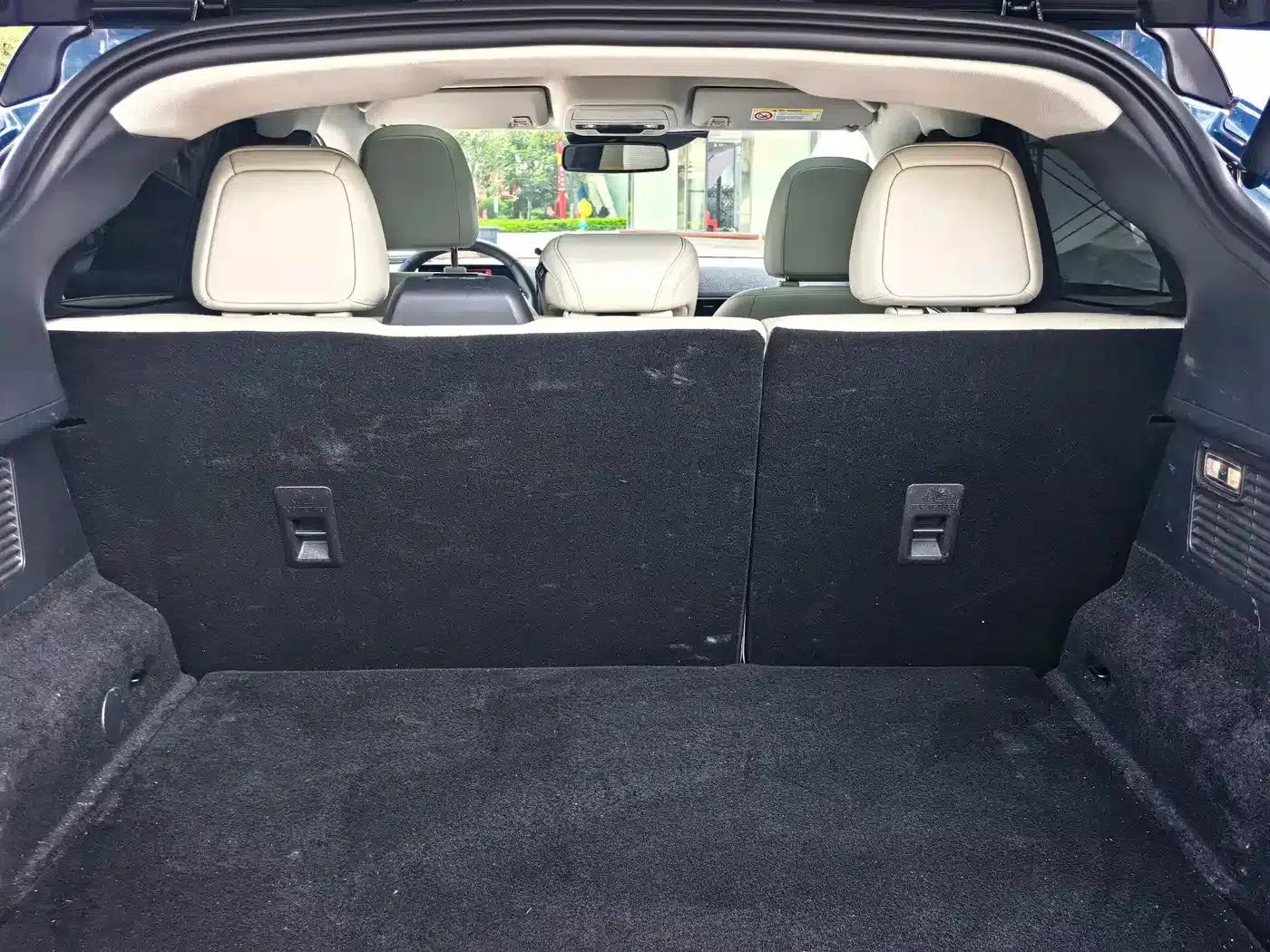 Ford e31 2021 Model X Unlimited Rear-Wheel Drive Luxury Edition Long Range — миниатюра 12