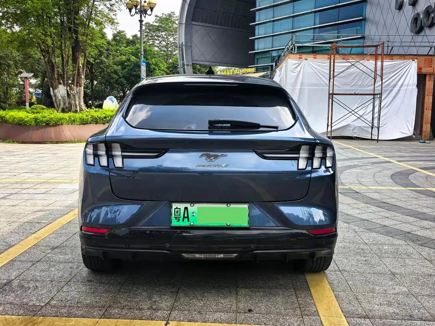 Ford e31 2021 Model X Unlimited Rear-Wheel Drive Luxury Edition Long Range — миниатюра 13