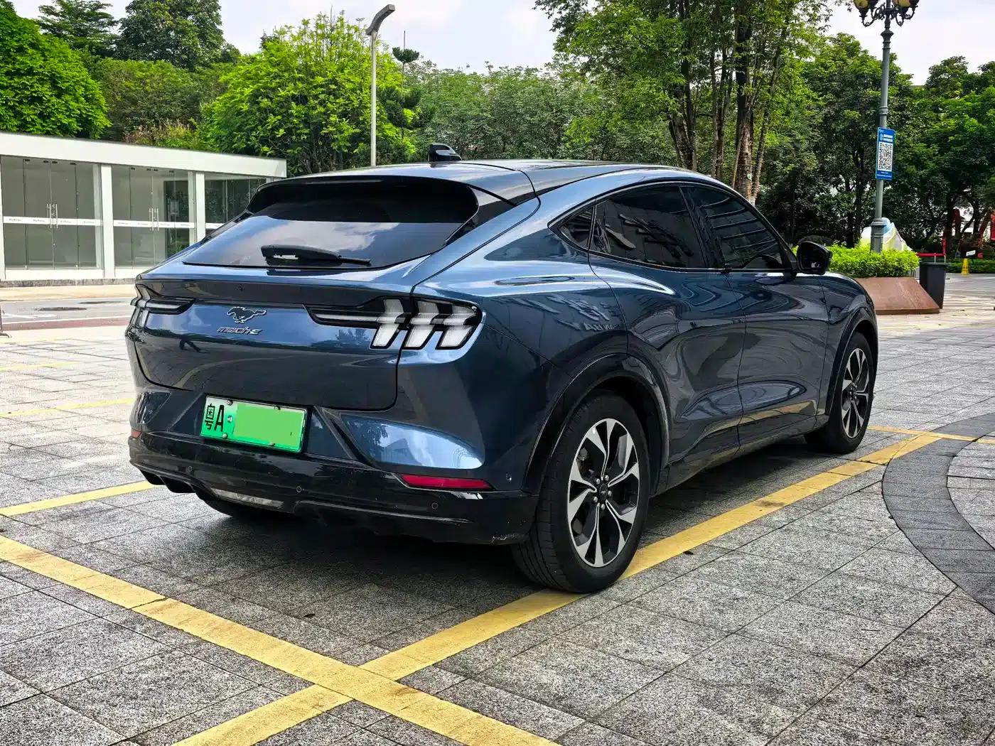 Ford e31 2021 Model X Unlimited Rear-Wheel Drive Luxury Edition Long Range — миниатюра 14