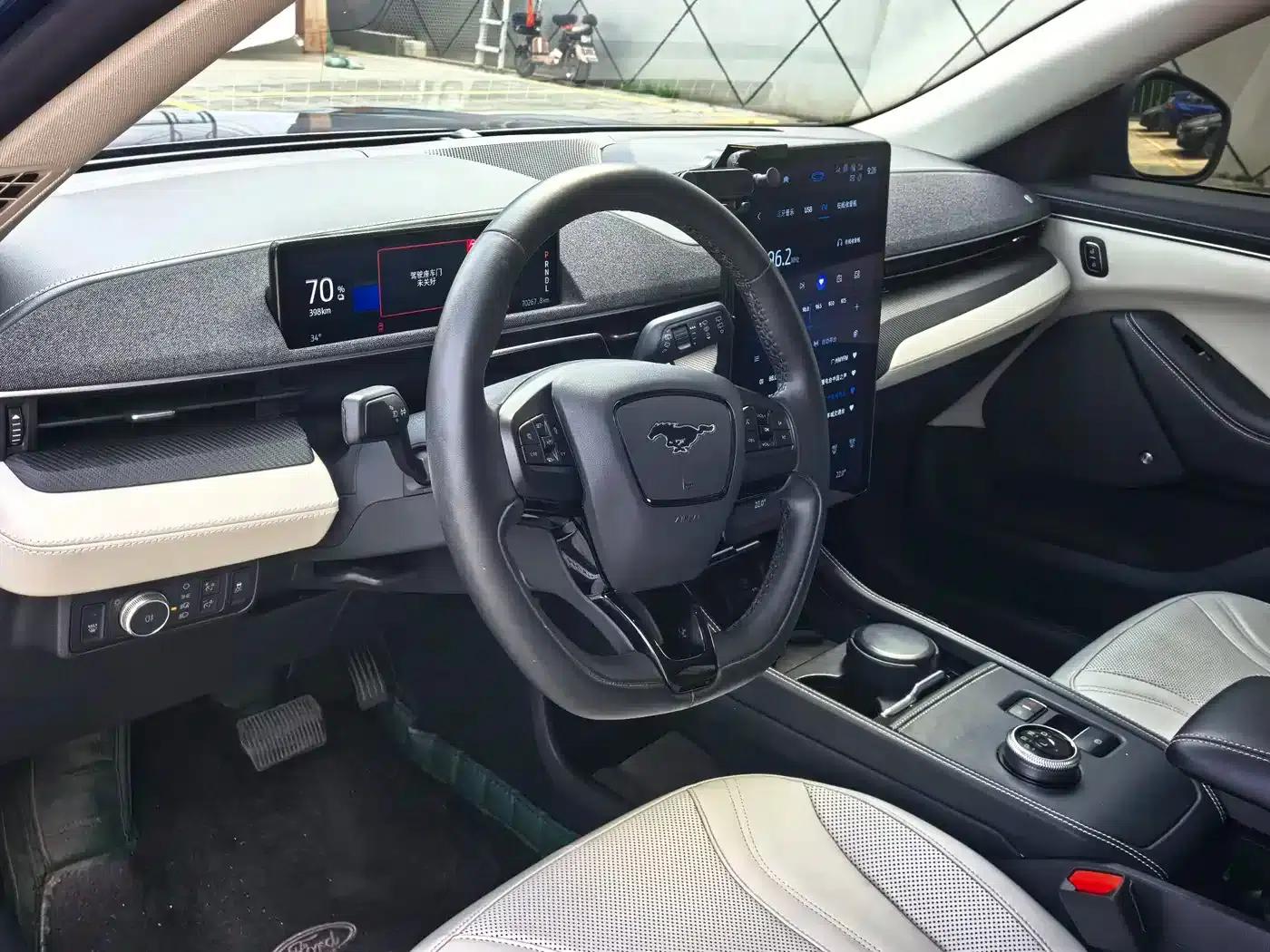 Ford e31 2021 Model X Unlimited Rear-Wheel Drive Luxury Edition Long Range — миниатюра 4