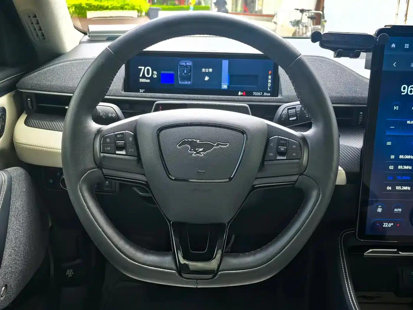 Ford e31 2021 Model X Unlimited Rear-Wheel Drive Luxury Edition Long Range — миниатюра 6