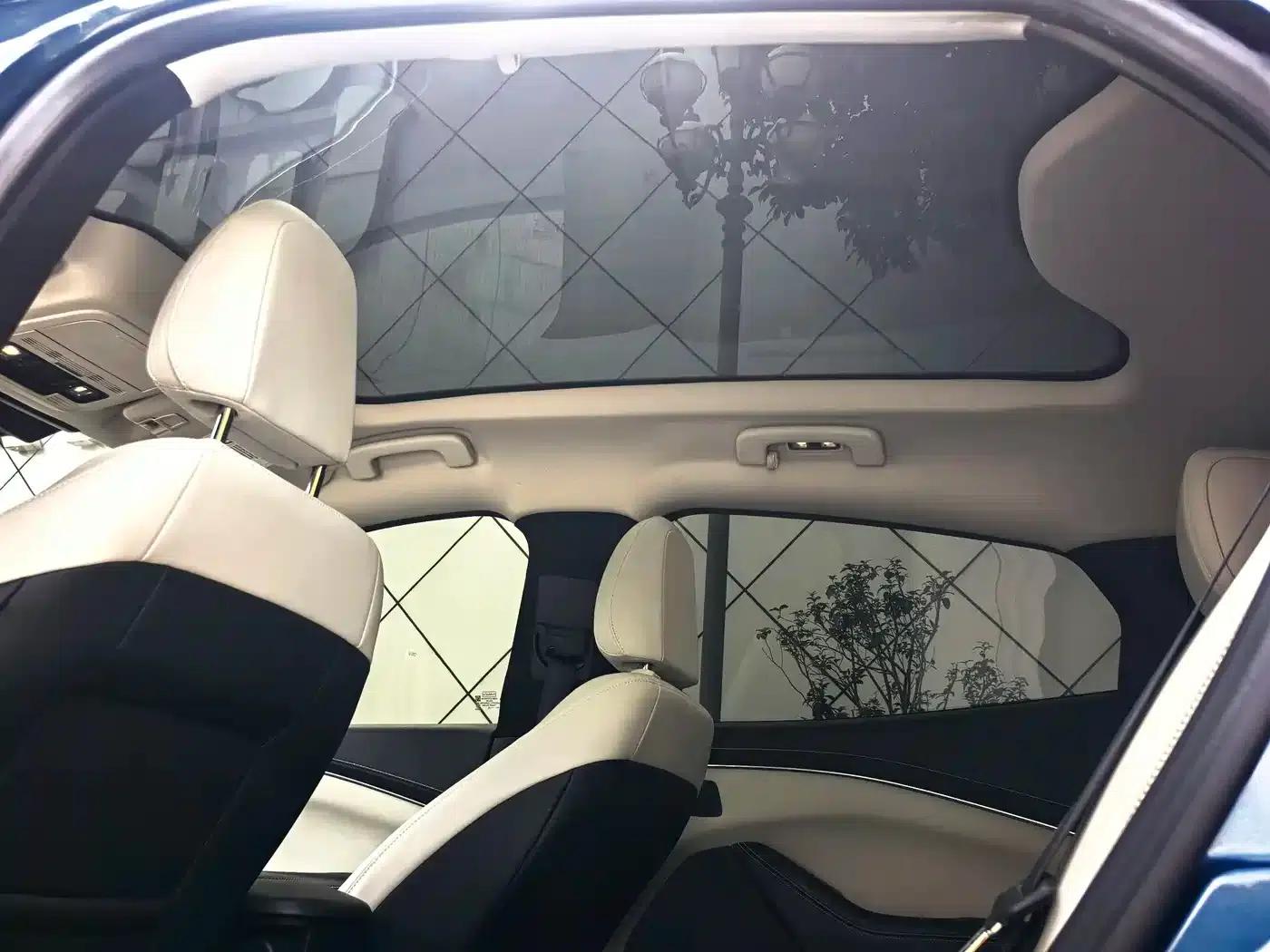 Ford e31 2021 Model X Unlimited Rear-Wheel Drive Luxury Edition Long Range — миниатюра 8