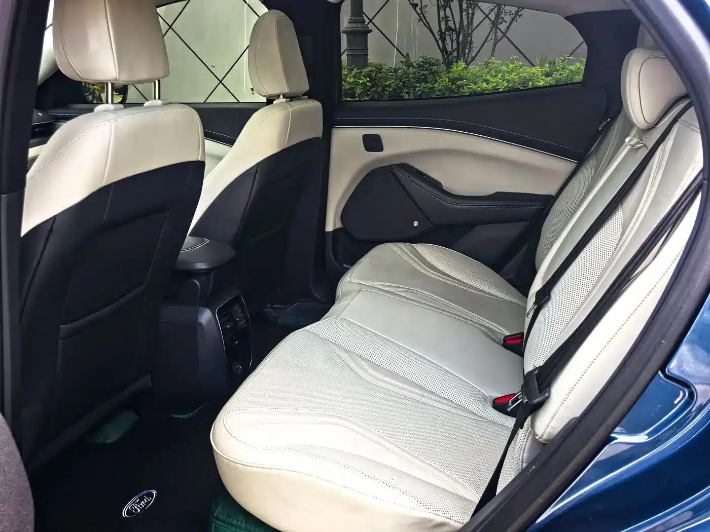 Ford e31 2021 Model X Unlimited Rear-Wheel Drive Luxury Edition Long Range — миниатюра 9