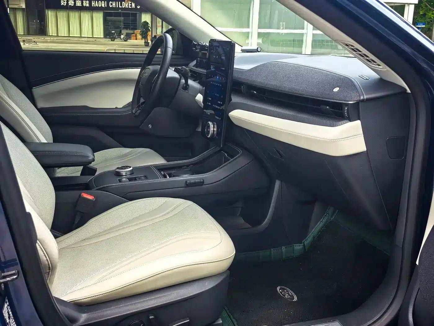 Ford e31 2021 Model X Unlimited Rear-Wheel Drive Luxury Edition Long Range — миниатюра 10