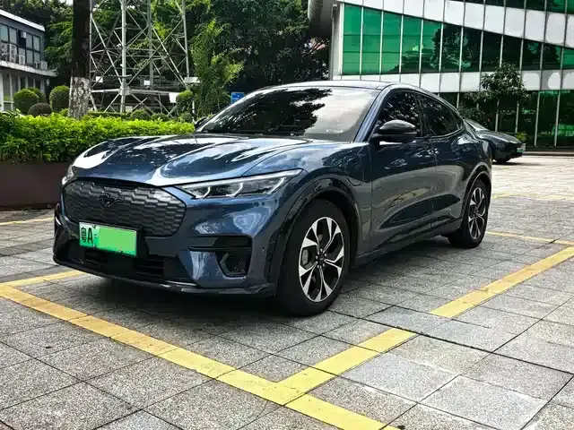 Ford e31 2021 Model X Unlimited Rear-Wheel Drive Luxury Edition Long Range