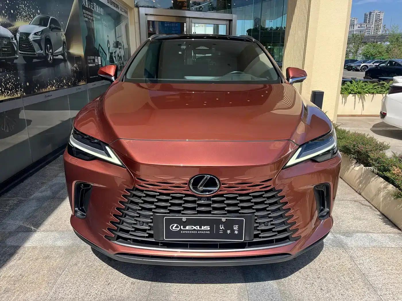 Lexus RX Hybrid 2023 450h+ AWD Enjoy Edition — миниатюра 2