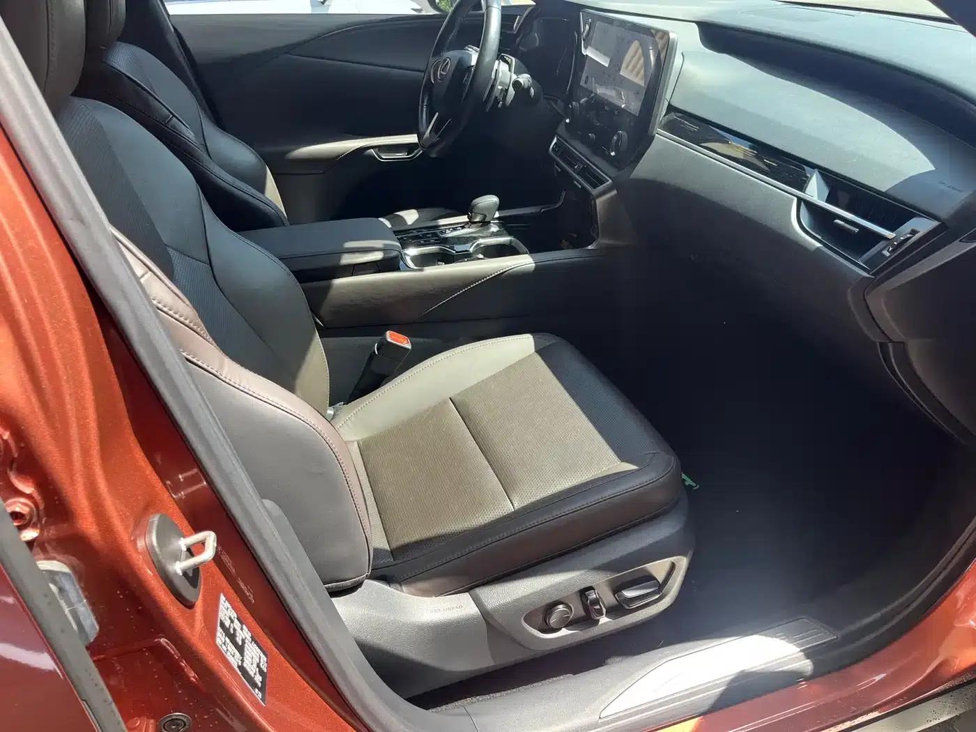 Lexus RX Hybrid 2023 450h+ AWD Enjoy Edition — миниатюра 12