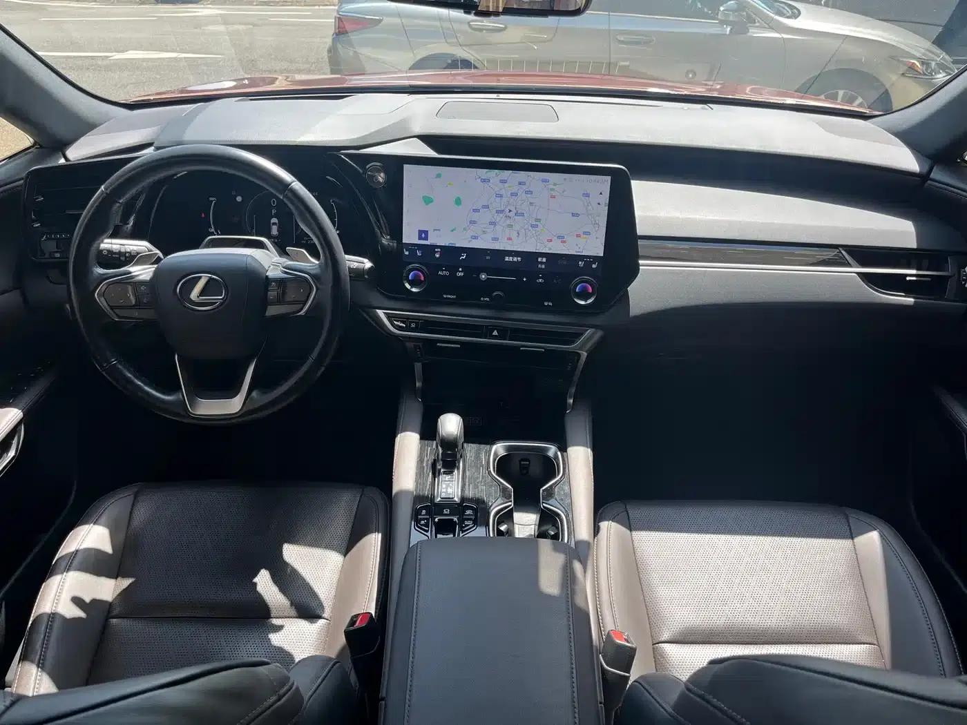 Lexus RX Hybrid 2023 450h+ AWD Enjoy Edition — миниатюра 13