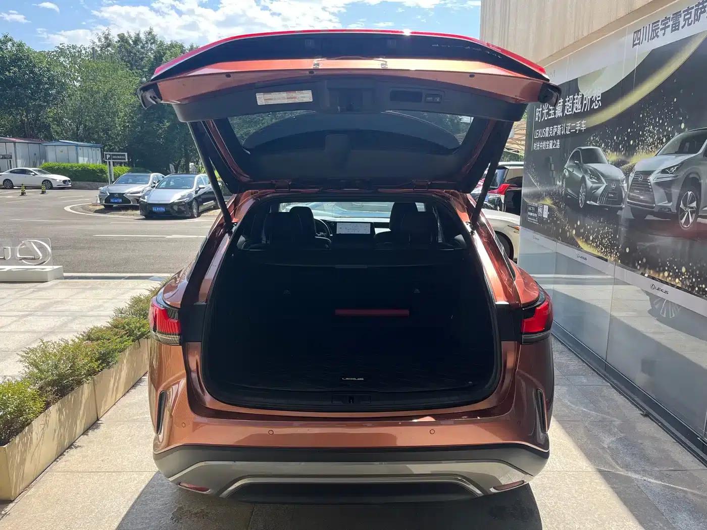 Lexus RX Hybrid 2023 450h+ AWD Enjoy Edition — миниатюра 8
