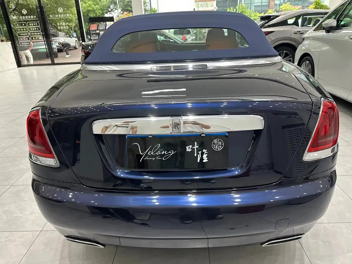 2018 Dawn 6.6T Standard Edition — миниатюра 11