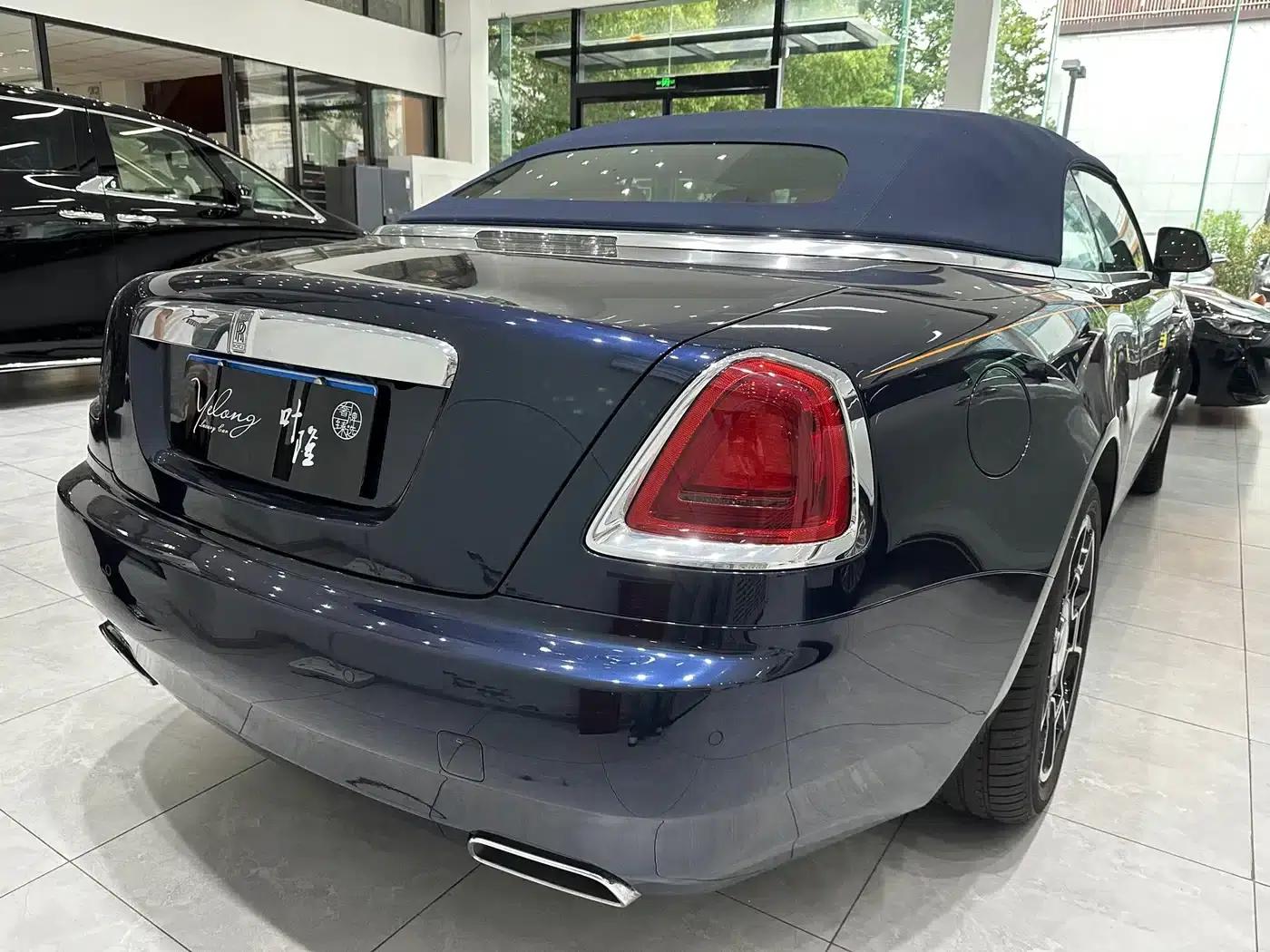 2018 Dawn 6.6T Standard Edition — миниатюра 12