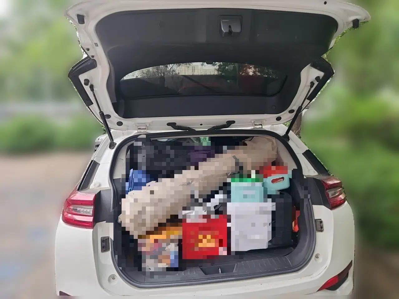 Hongqi E-HS3 2019 Zhilian Qiyue Two-Wheel Drive Version — миниатюра 19
