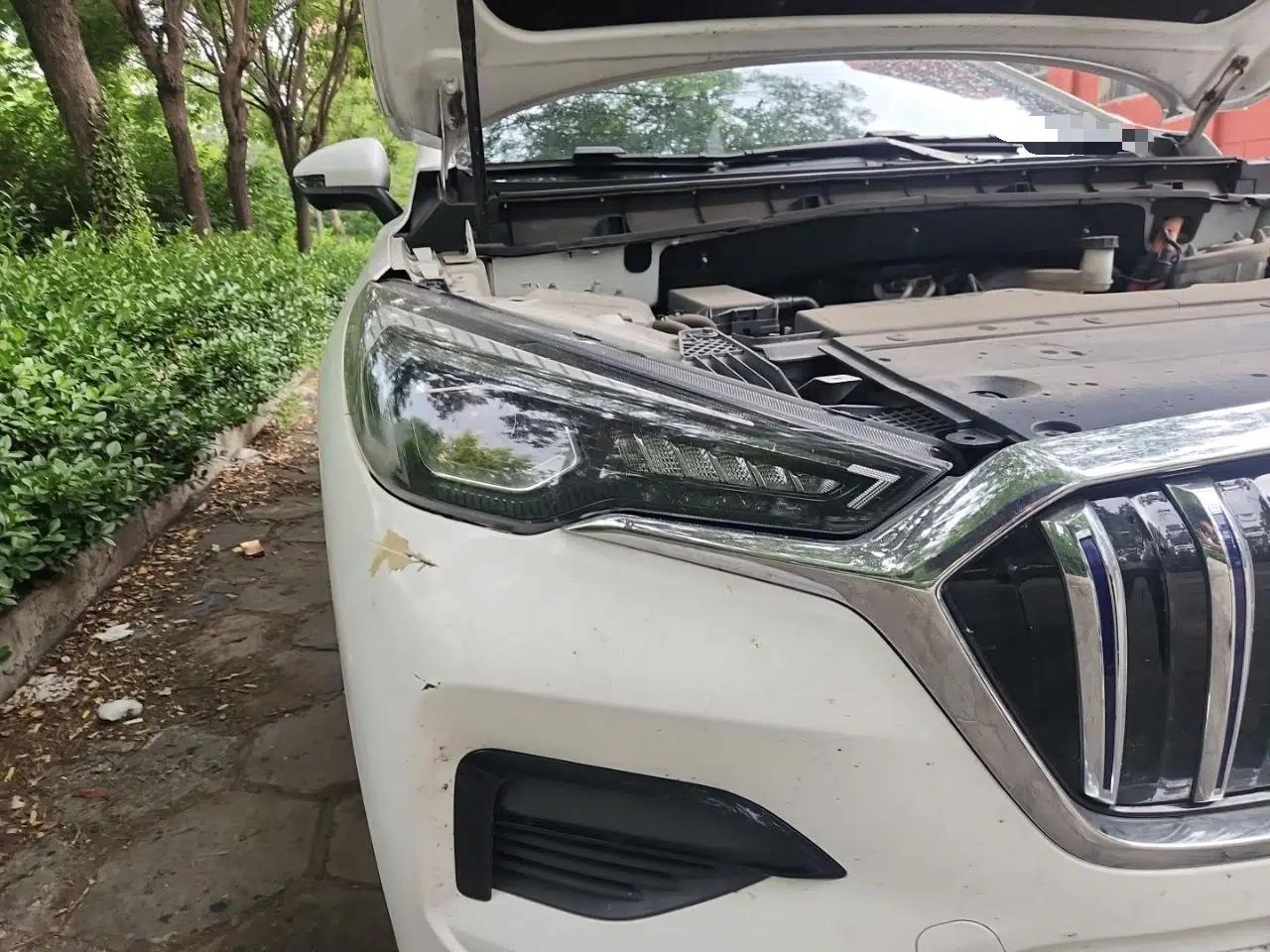 Hongqi E-HS3 2019 Zhilian Qiyue Two-Wheel Drive Version — миниатюра 7