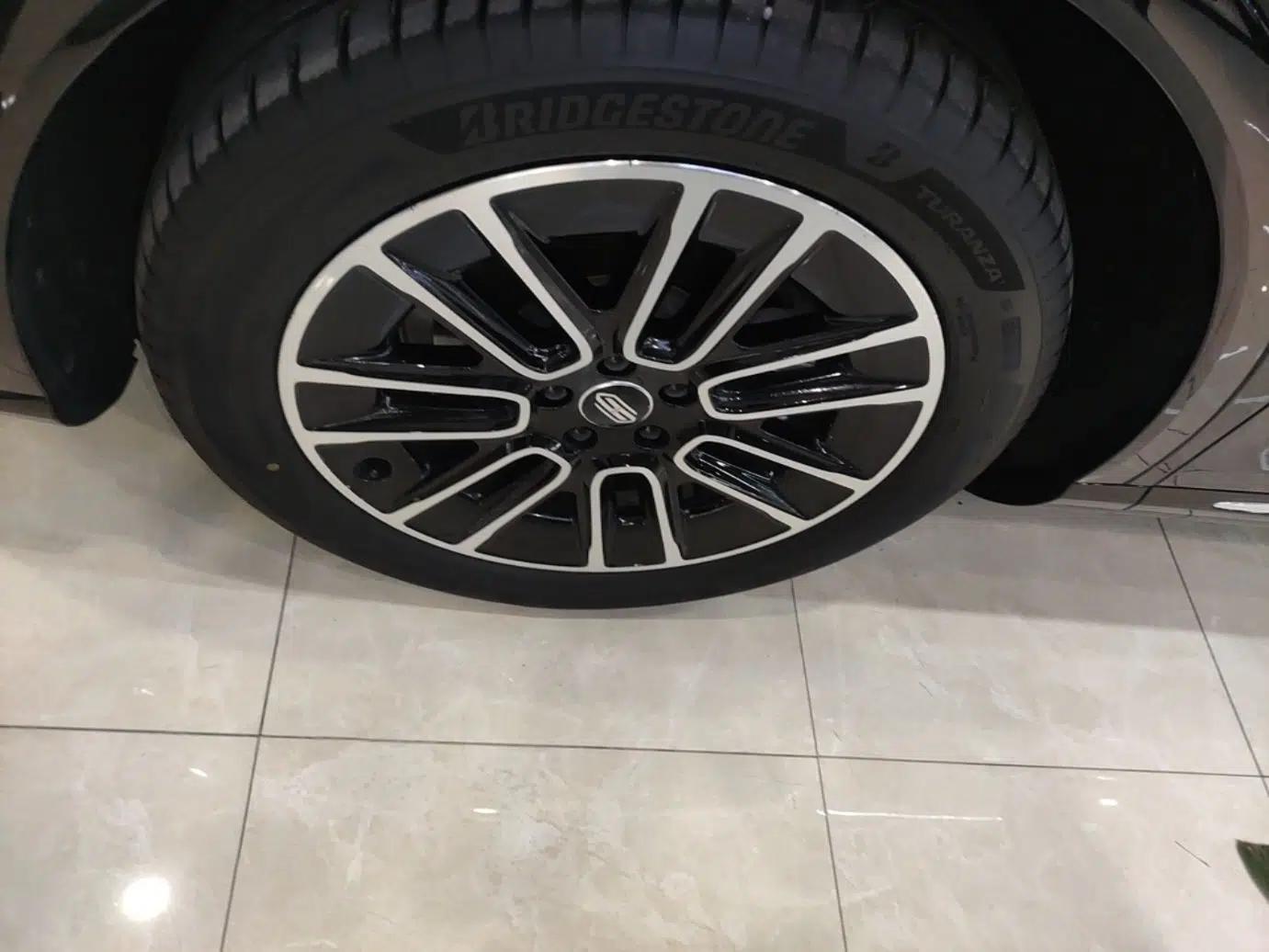 Hima H5 2025 Model Pure Electric Max Long Range — миниатюра 10