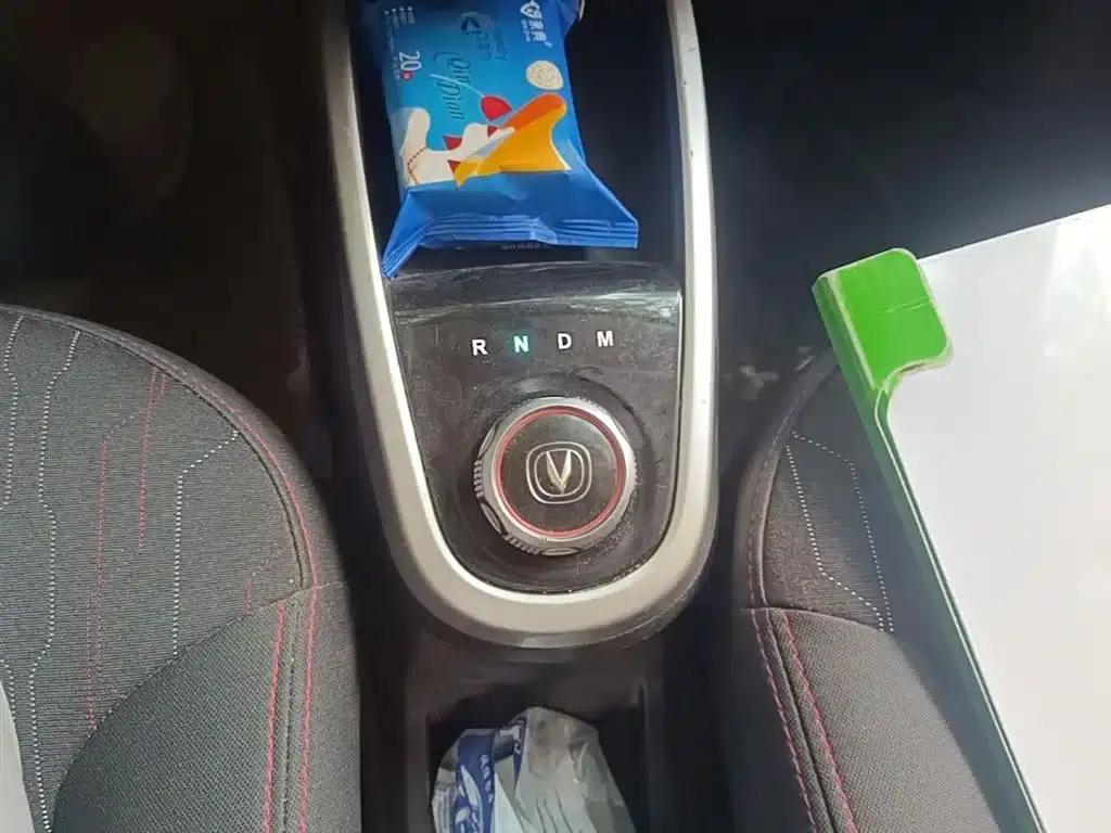 Benben 2015 1.4L IMT Deluxe Edition (National V Emission Standard) — миниатюра 14