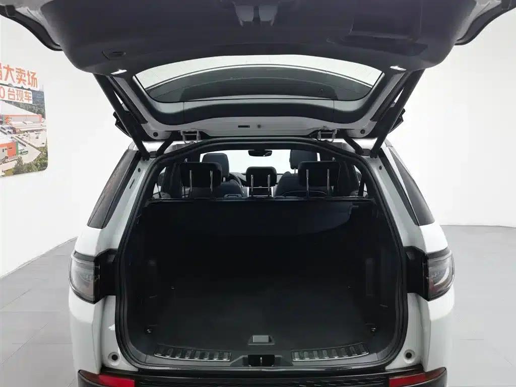 Discover Sporty New Energy 2021 P300e Performance Technology Edition — миниатюра 16