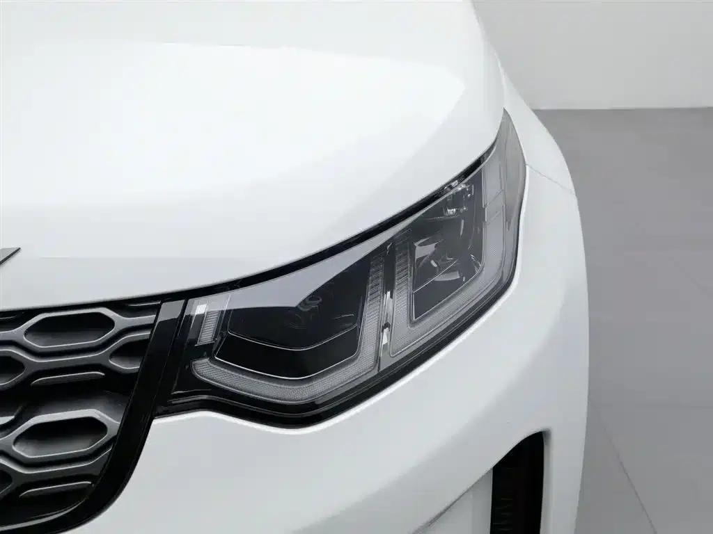 Discover Sporty New Energy 2021 P300e Performance Technology Edition — миниатюра 7