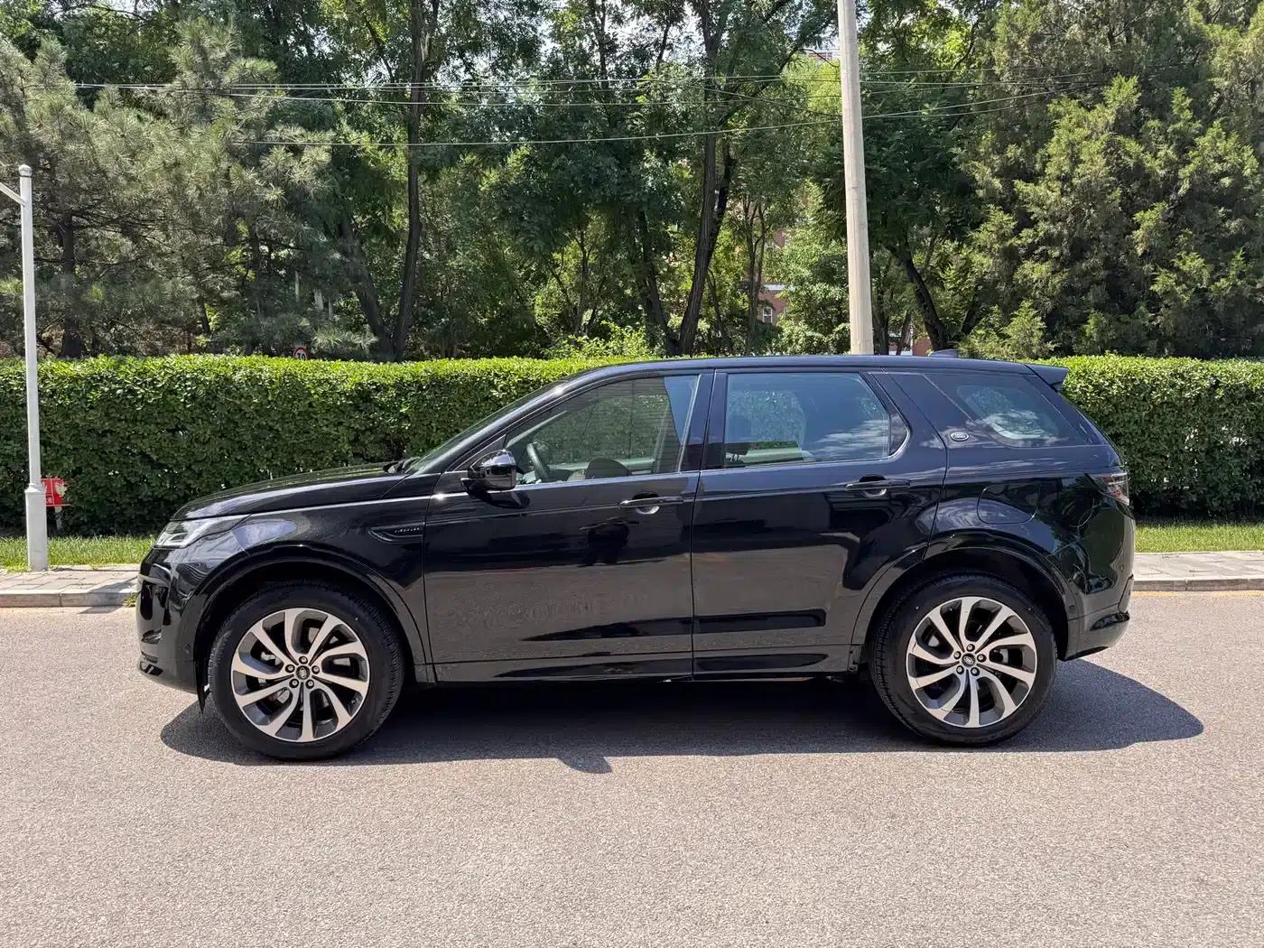 Discover Sporty New Energy 2021 P300e Performance Technology Edition — миниатюра 3