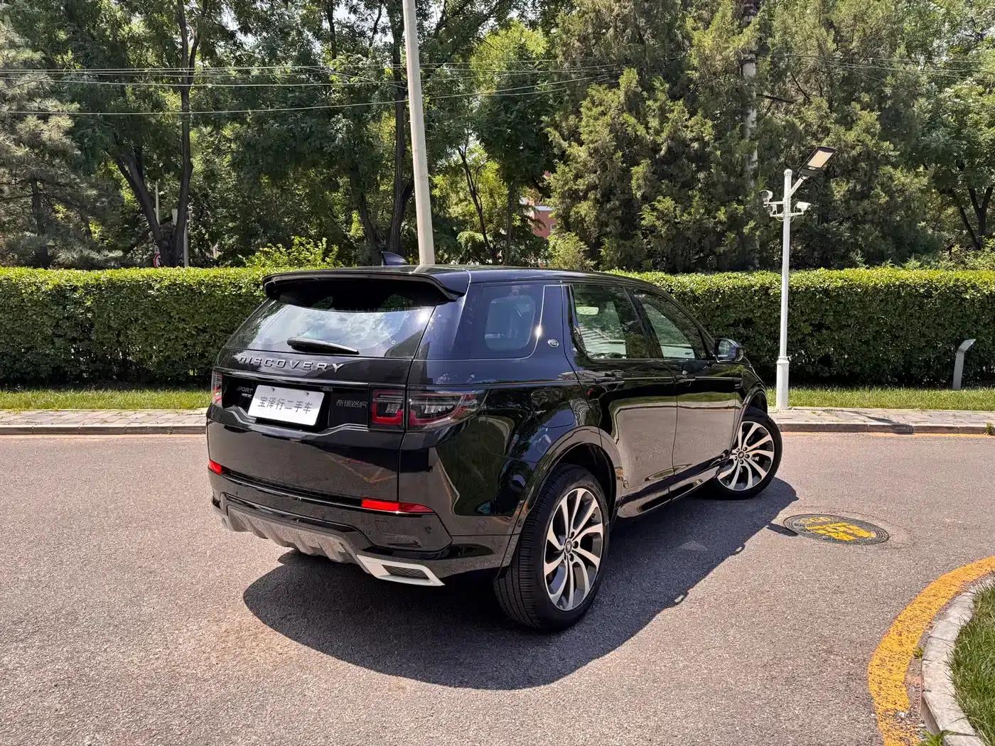 Discover Sporty New Energy 2021 P300e Performance Technology Edition — миниатюра 5