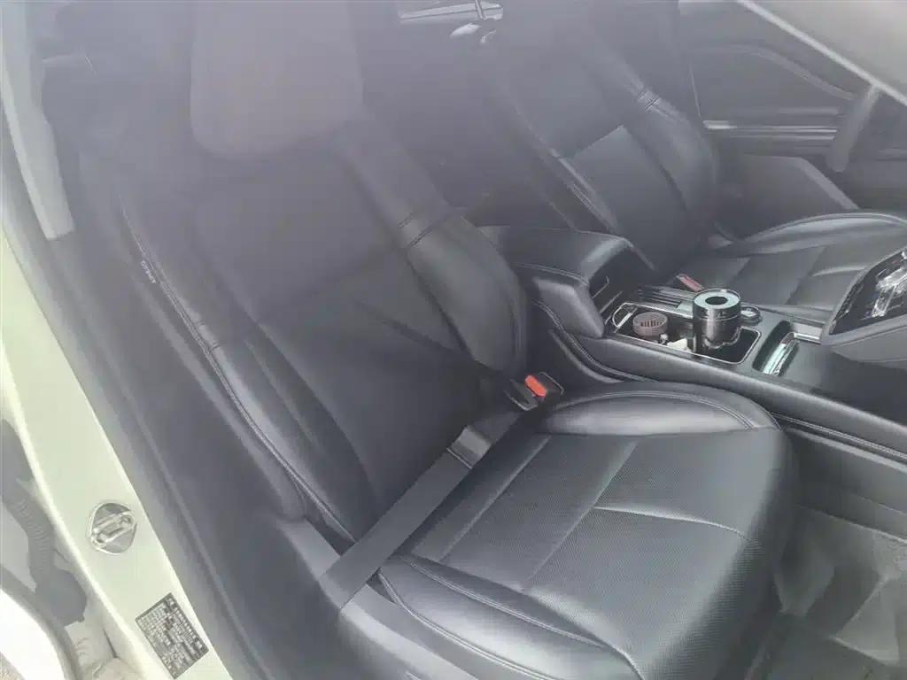Adventurer New Energy 2021 PHEV AWD e-Elegant Edition — миниатюра 24