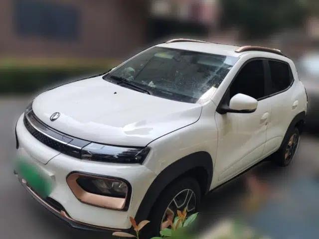 Dongfeng NAMMI BOX 2022 Light Wind Edition 201KM Advanced Model