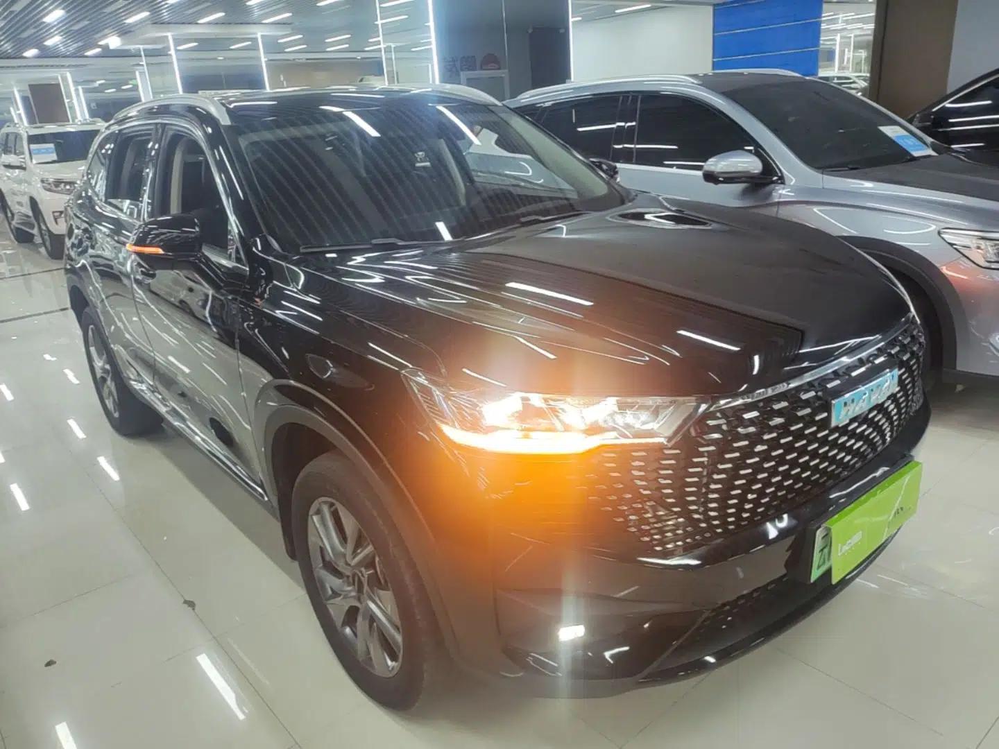 Haval H6 New Energy 2023 DHT-PHEV 110KM Long-Range Edition — миниатюра 3