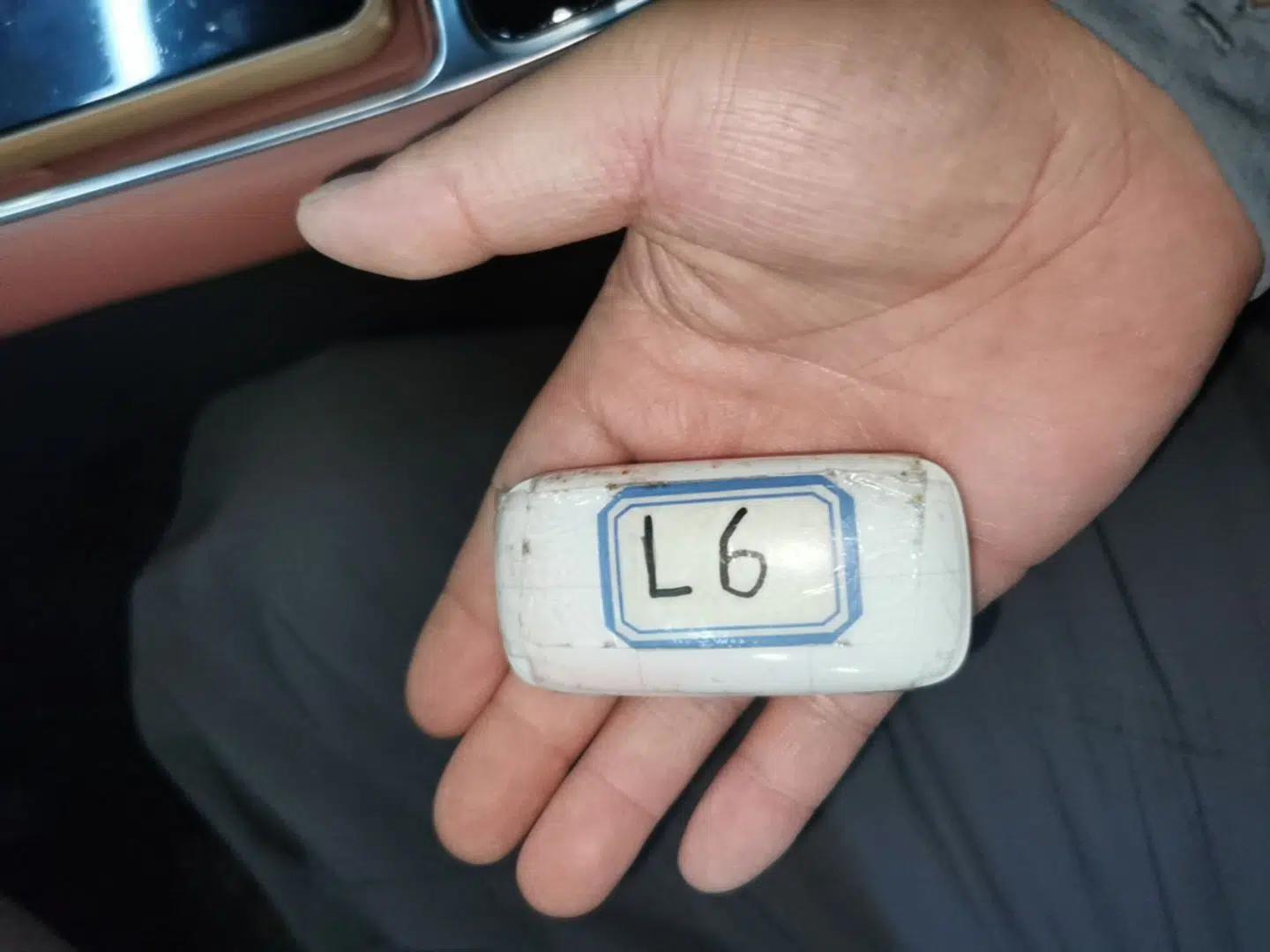 Geely Galaxy L6 2025 EM-i 140km Starship Edition — миниатюра 28