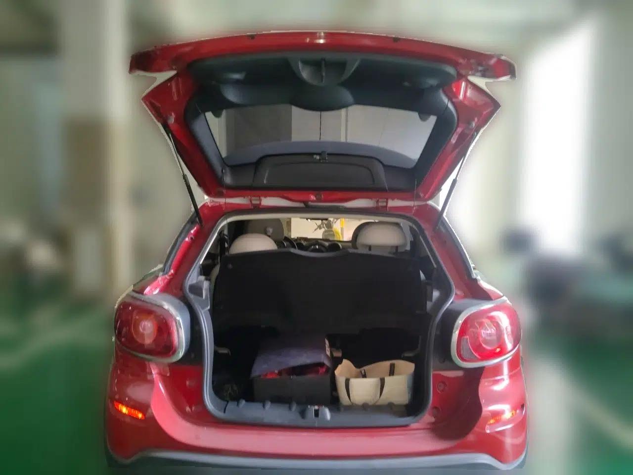 MINI Paceman 2013 1.6L COOPER — миниатюра 19