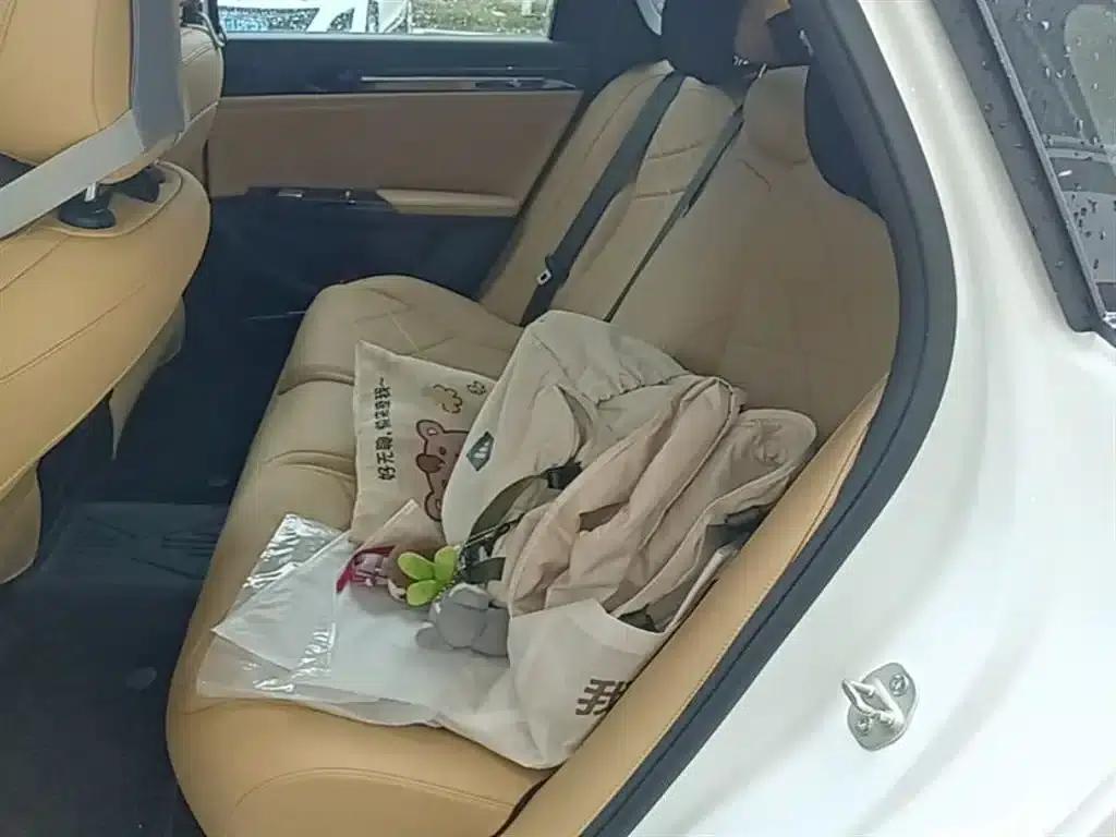 Galaxy L6 2024 125km PLUS Dragon Edition — миниатюра 17