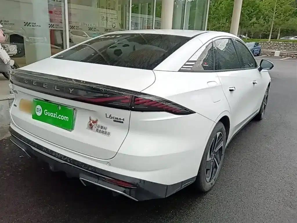 Galaxy L6 2024 125km PLUS Dragon Edition — миниатюра 7
