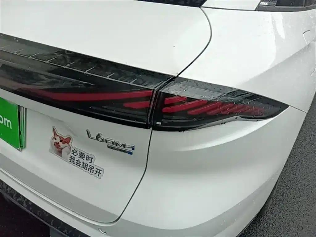 Galaxy L6 2024 125km PLUS Dragon Edition — миниатюра 8