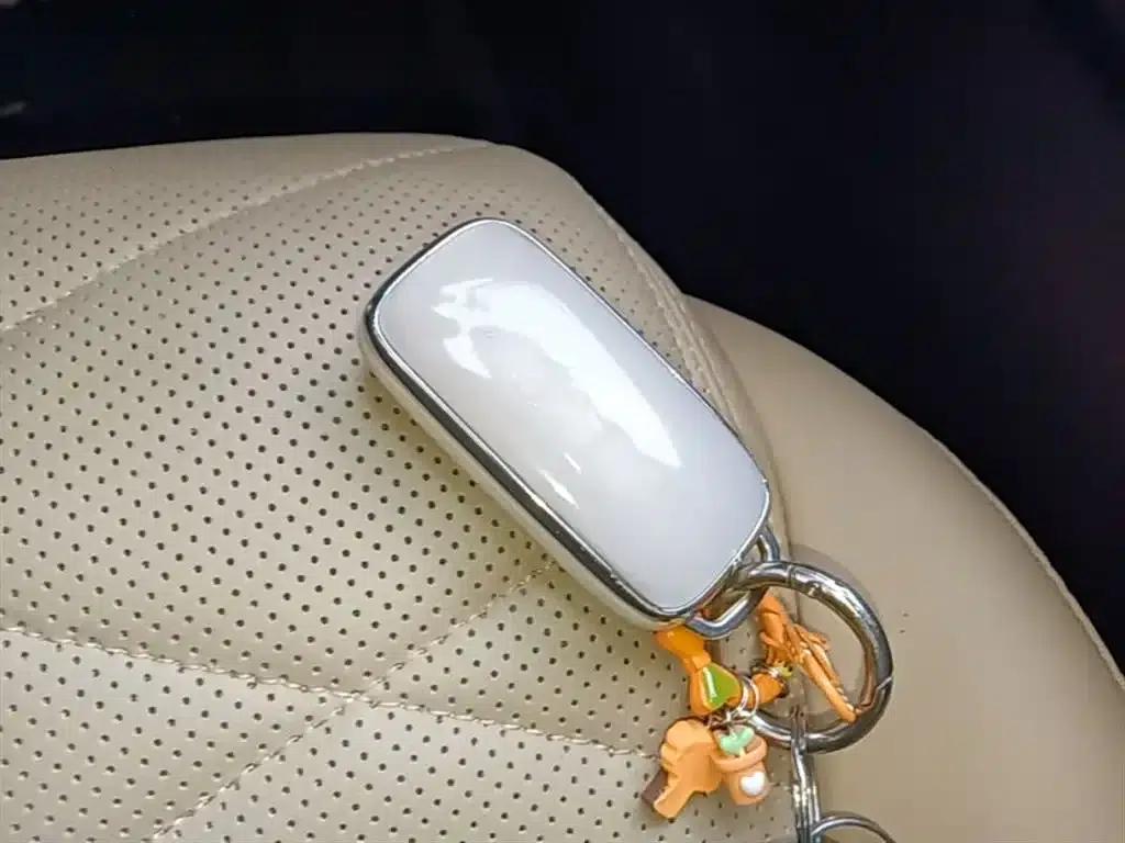 Galaxy L6 2024 125km PLUS Dragon Edition — миниатюра 9