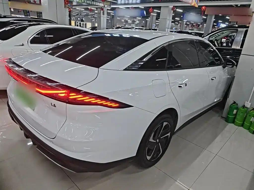Galaxy L6 2024 125km PLUS Dragon Edition — миниатюра 7