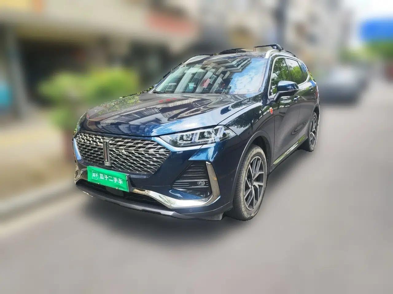Wey Latte DHT-PHEV 2022 1.5T Four-Wheel Drive Extra-Large Version — миниатюра 1