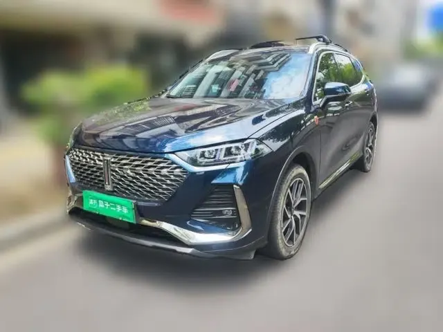 Wey Latte DHT-PHEV 2022 1.5T Four-Wheel Drive Extra-Large Version