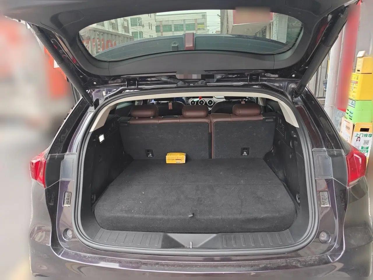 Wey VV7 New Energy 2020 PHEV 2.0T Flagship Model — миниатюра 19